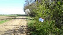 Blick auf die Wanderstrecke bei der Ank�ndigung der SK